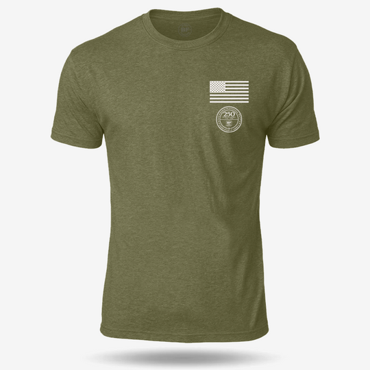 250th Declaration T Shirt