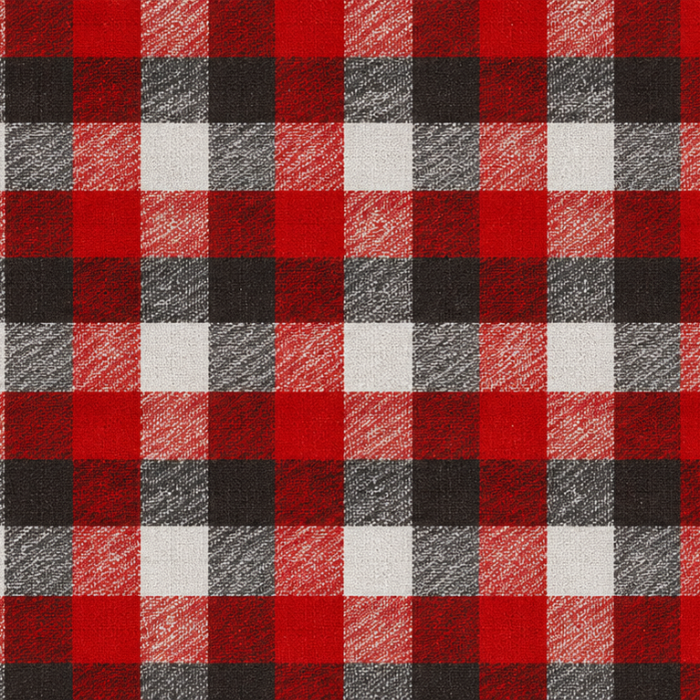 Plaid Button Down Shirt