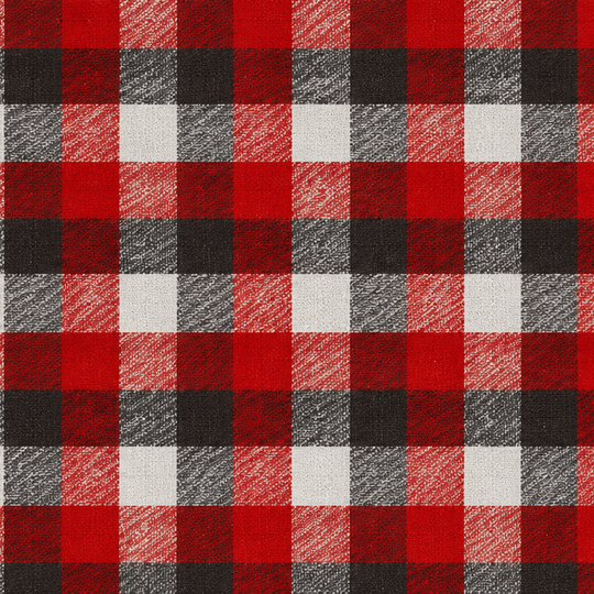 Plaid Button Down Shirt