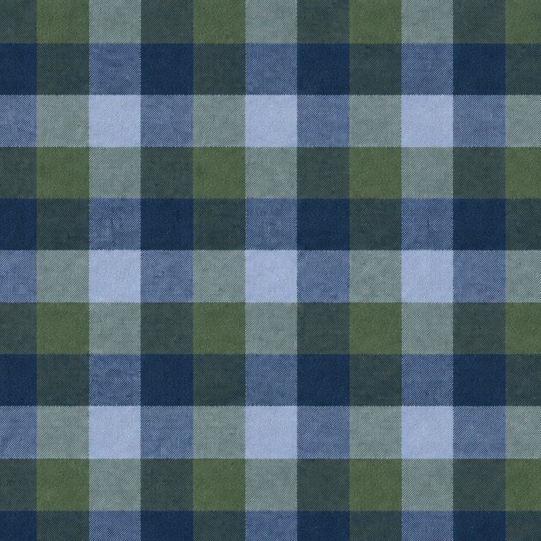 Plaid Button Down Shirt