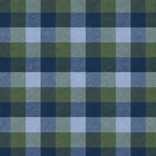 Plaid Button Down Shirt