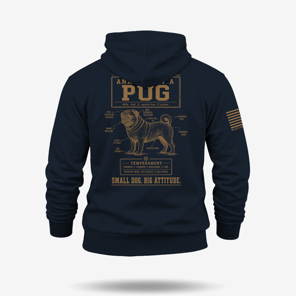 Pug Schematic Hoodie